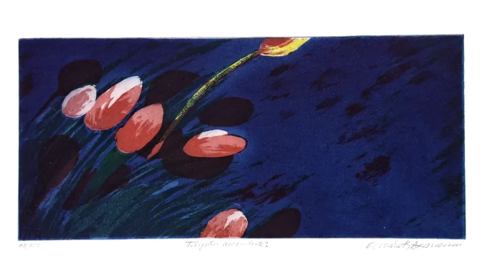 Elisabeth Axmann (*1934): Tulipan ascendente I - (Farbradierung / ca. 1995, signiert, Blatt 11 / 100)