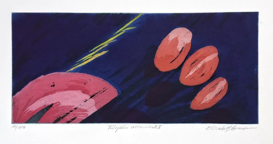Elisabeth Axmann (*1934): Tulipan ascendente II - (Farbradierung / ca. 1995, signiert, Blatt 11 / 100)